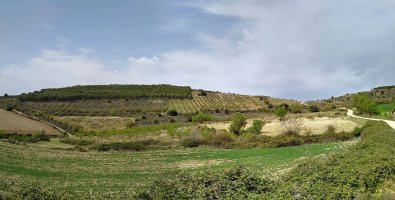 Alto del Monte