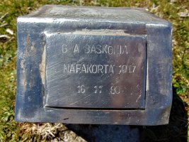 Buzoiko Plaka