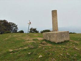 Tontorra