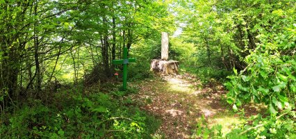 Tontorra