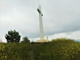 Tontorra