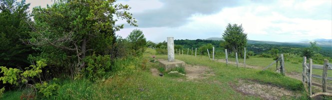 Tontorra
