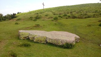 Argibelgo Lepoa zutarria