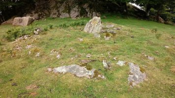 Larrebeltz I trikuharria (2021)