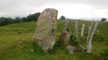 Autrin trikuharria (2021)