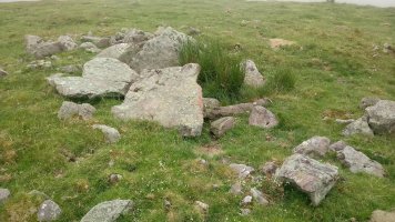 Luurzu I Erdi trikuharria