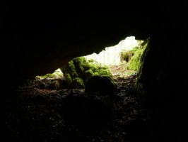 Sarrera barrutik