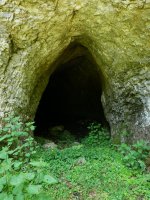 Sarrera