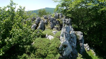 Txurtxur tontorra