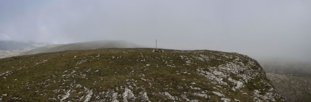 Erlotxiki