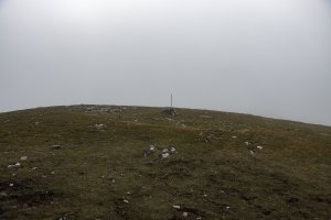 Erlotxiki