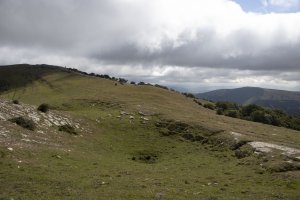Peña Elordia