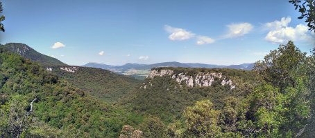 Aldosilla
