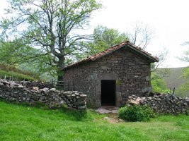 Irlintxiko borda