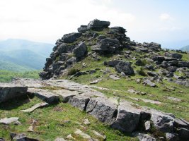 Tontorra
