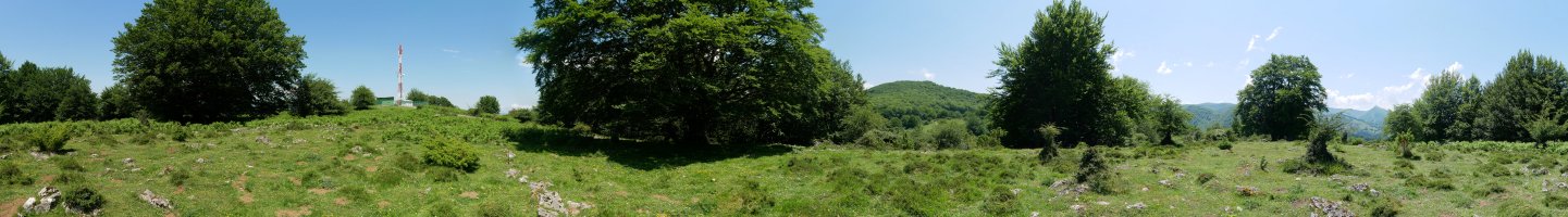 Gorako larreak eta gailurra