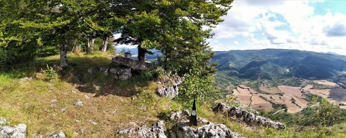 Tontorra