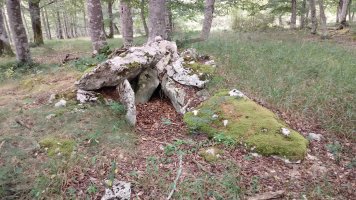 Debata Arruazu II trikuharria 