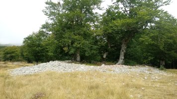 Mendebal Elurmenta trikuharria