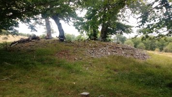 Mendebal Elurmenta trikuharria (2021)