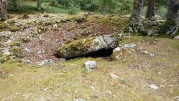 Ekialdeko Elurmenta trikuharria