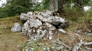 Erregeneko Debata III trikuharria