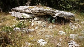 Zubeinta trikuharria (2021)