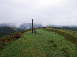 Eskorlako tontorra