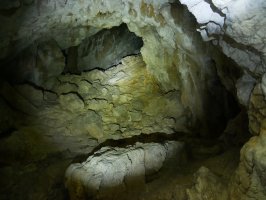 Puttarri koba