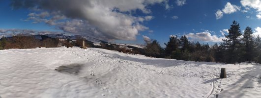 Tontorra
