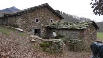 Domintxengo borda