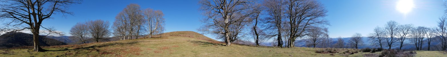 Lizartzeta gaina, Haldeko bizkarretik