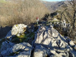 Tontorra