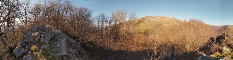 Tontorra