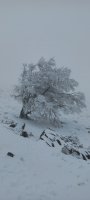 Pagobakarra Aizkorriko igoeran