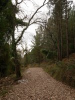 Ekialdeko magaleko bidea