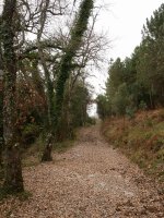 Ekialdeko magaleko bidea