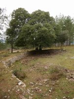 Itxidura bitxi baten hondakinak hego-mendebaldeko bidetik gertu