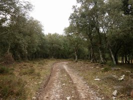 Hego-mendebaldeko bidea