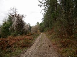 Ipar-mendebaldeko magaleko bidea