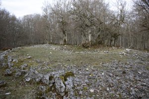 Bardoitza 10