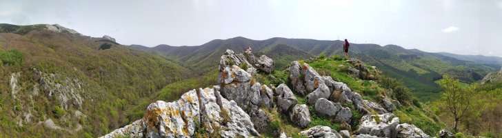 Tontorra