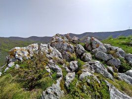 Tontorra