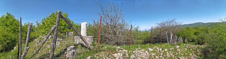 Tontorra