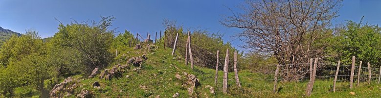 Tontorra