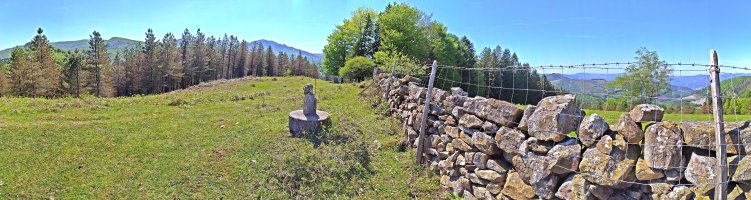 Tontorra