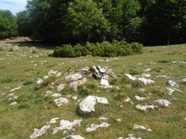 urritzaga ipar