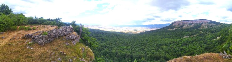 Tontorra