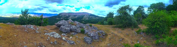Tontorra