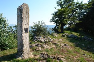 Tontorra